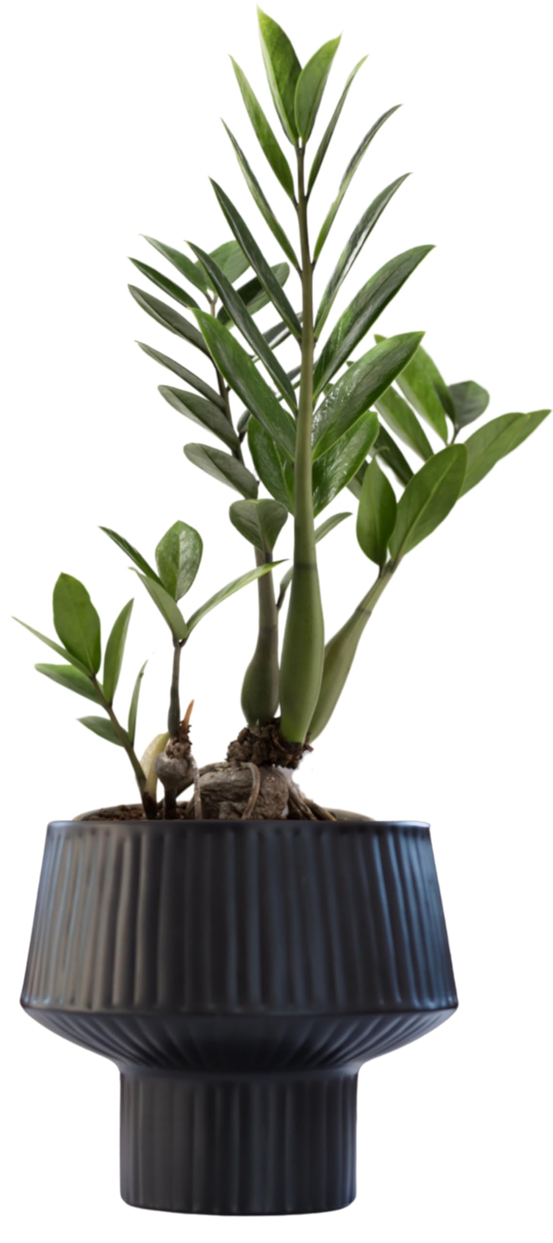 Wide Top Modern Handmade Metal Indoor Planter with Unique Shape, Vertical Grooved Design and Anti-Scratch Pads, Rust-Resistant Finish that is Sustainable Non-Plastic Pot Recyclable Metal Vase (Black)