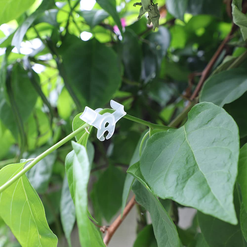 LucyPhy 60 Pack Plant Bender Angle Adjustable Plant Training Clips Low Stress Training Clips 90 Degrees Plant Stem(Circle Style,Transparent)