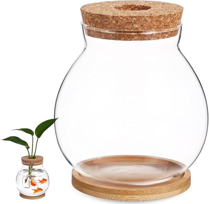 Glass Hydroponic Plant Vase with Cork Lid and Bamboo Base Small Clear Fish Bowl Desktop Terrarium Kit for Water Plants Lucky Bamboo Betta Fish Starter Pot for Home Office Decor 5x5.5 Inch