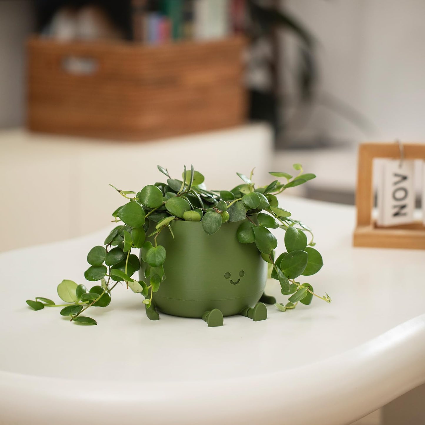 TOPOLA Happy Face Planter, 5.2 Inches Plastic Plant Pot, Self Watering Plant Pot with Drainage Holes for Indoor Outdoor, Succulent Pot, Funny Flower Pot, Dark Green