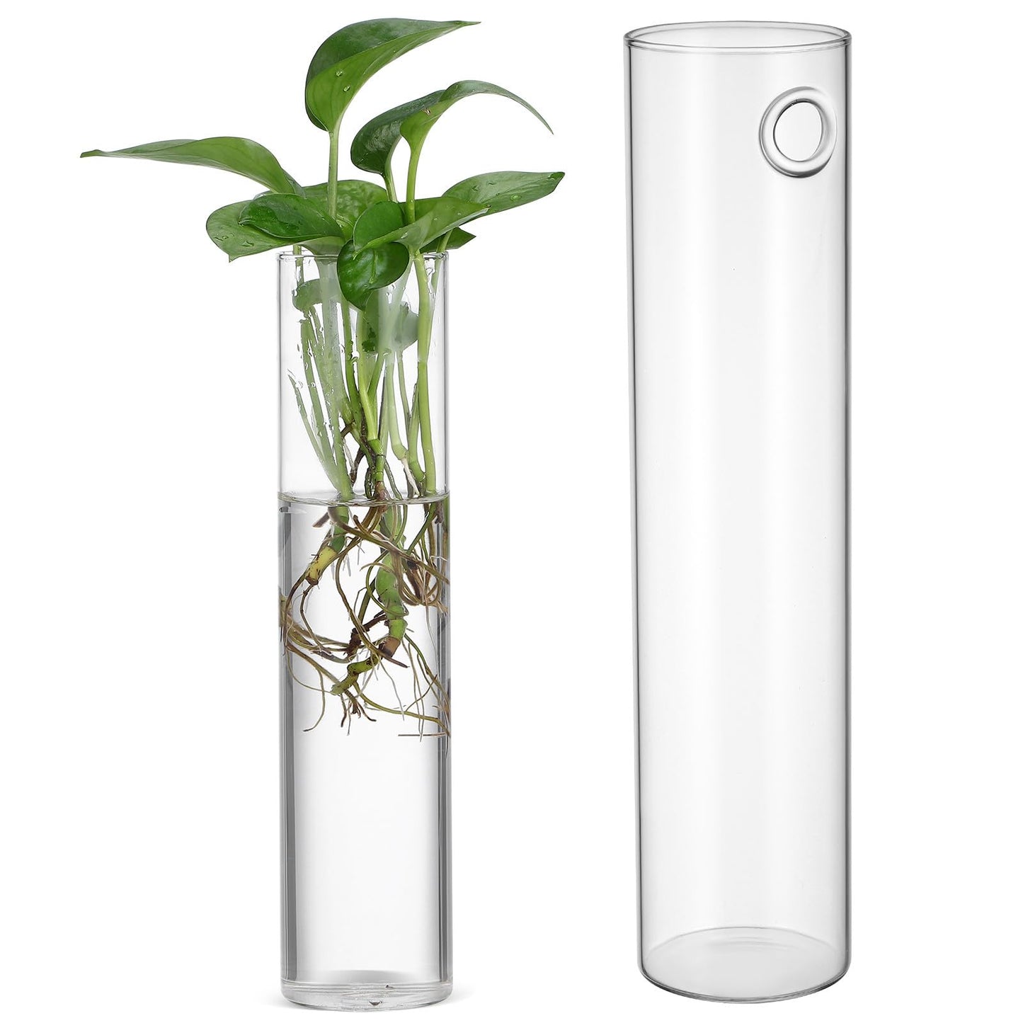 OKUMEYR Wall Hanging Vase Set 2pcs Large Cylinder Glass Propagation Station Hydroponic Plants Holder Indoor Hanging Terrarium Planter for Home Décor