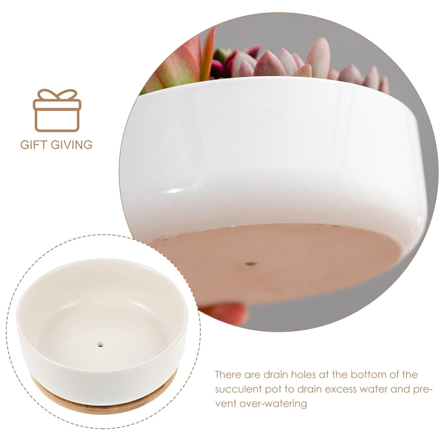 Toddmomy Ceramic Flowerpot Indoor Plant Pot Mini Bowl Planter Succulent Houseplant s Small Bonsai s Funny Plant s Ceramic Bonsai Planter White