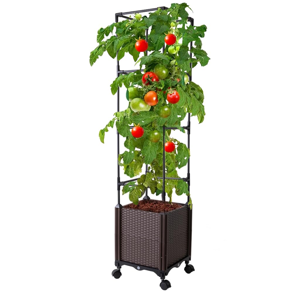 Antmoilios Raised Garden Bed with Tomato Cage & Trellis, 56" Self-Watering Tomato Planter Box for Vegetables Flowers | Lockable Wheels, Vertical Gardening | Indoor Outdoor Patio Use, Easy Assembly