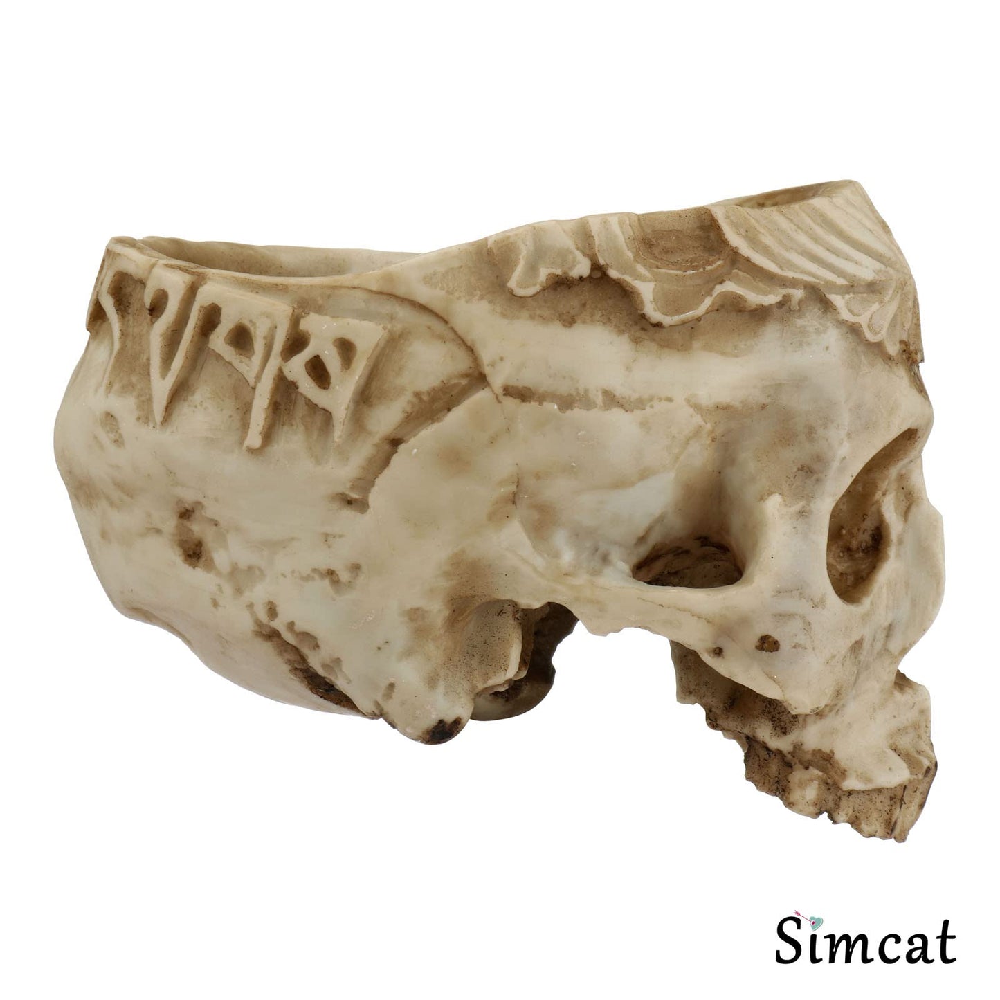 Simcat Resin Skull Planter Flower Succulents Pot Carved Skeleton Flowerpot Sugar Cactus Planter Pots Holder Candy Bowl Halloween Statue Sculpture Skeleton Decor for Home Office