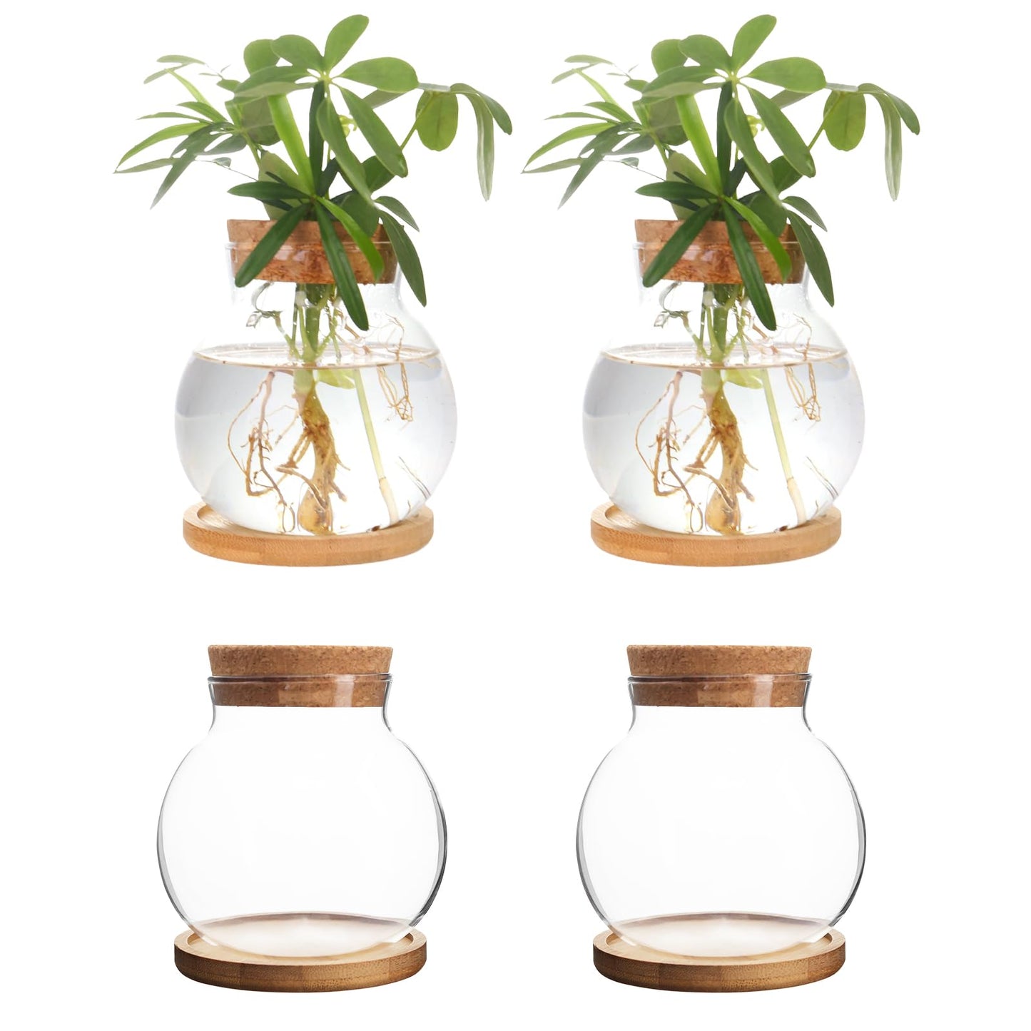 CHPINDAM Plant Propagation Station,Hydroponic Glass Container Vase Jars, with Wooden Saucer for Desks, Houses, Garden Decorations, Home Kitchen Decorations and Gifts for Plant Lovers (4)