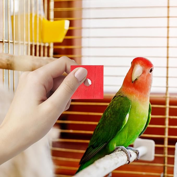 GANAZONO 100Pcs Parrot Wood Blocks Toys Wooden Blocks Bird Chewing Toy Bird Bite Toys Mini Wood Chips DIY Craft for Parrot Playing Chewing