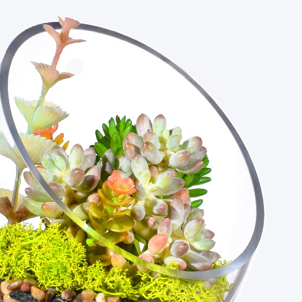 KNIKGLASS Clear Slant Cut Bubble Bowl, Fish Bowl & Plant Terrarium, Candy Jar Slant Cut Globe Vase Center Piece, Round Flower Vase, (6.9“ Tall .5.5“ Wide) …
