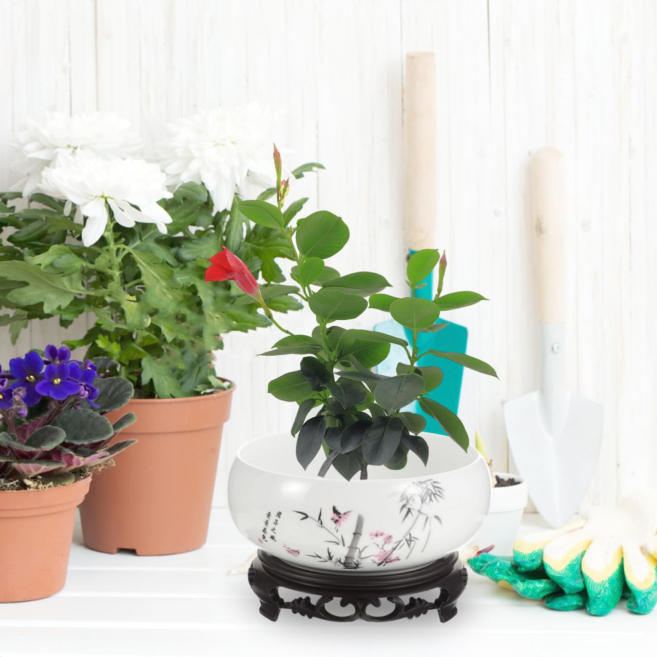 Toddmomy Hydroponic Ceramic Flowerpot Plant Pots Indoor Planters Indoor Ceramic Water Lily Bowl Vase Garden Flower Pot Ceramic Plant Pot Garden Bowl Orchid Pot Betta Fish Money Ceramics