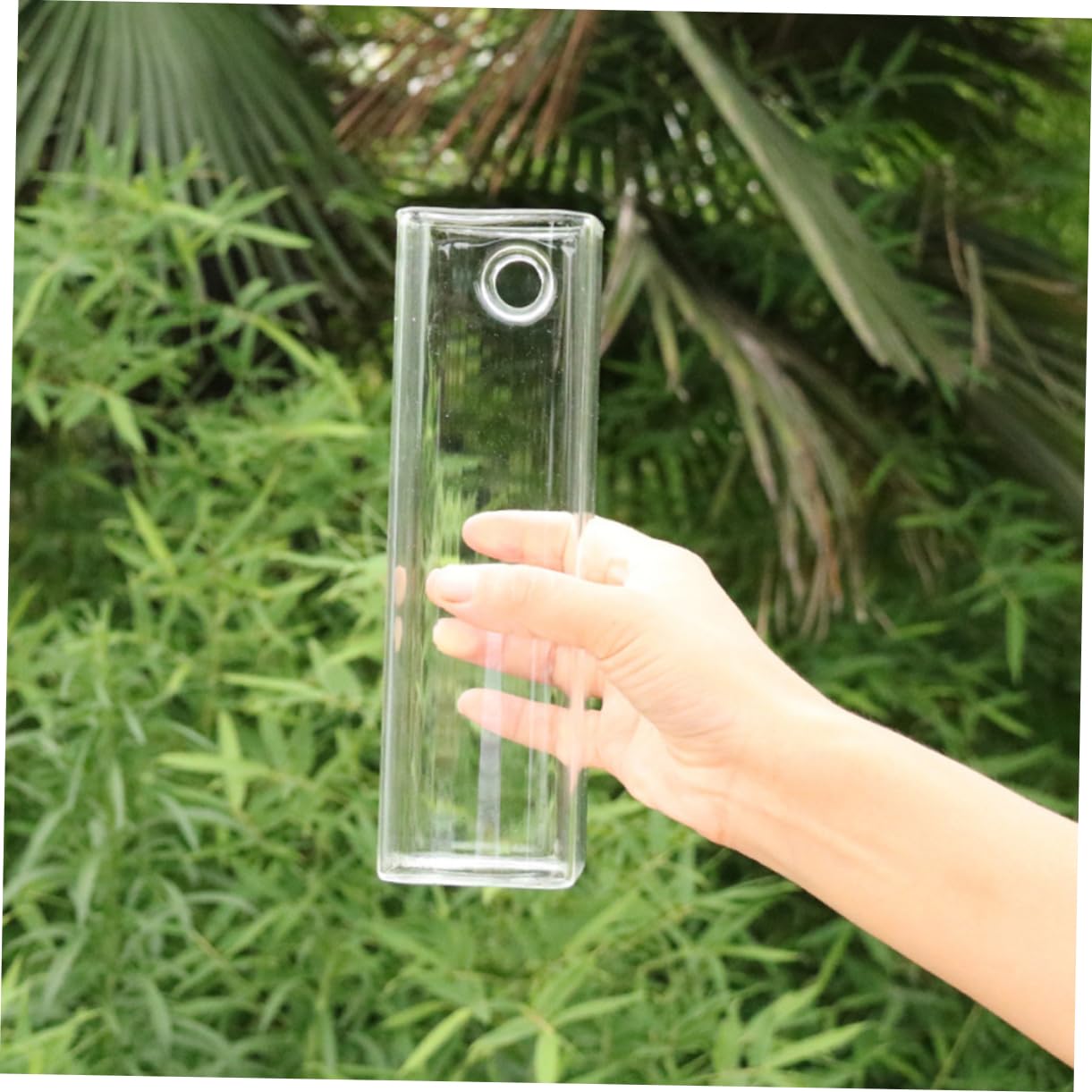 Abaodam Creative Wall Hanging Glass Flower Vase for Water Planting Terrarium Container Decor Unique Design for Indoor Plants Eye Catching Planter