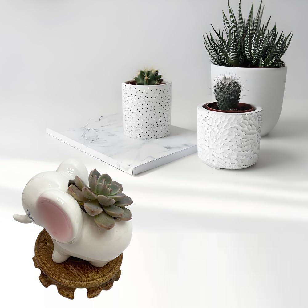 BEECO GIF2U Cute Ceramic Planter Pots,Planters for Indoor Shallow Houseplants Flower and Succulent with Drainage Holes and Wood Tray for Decoration Elephant
