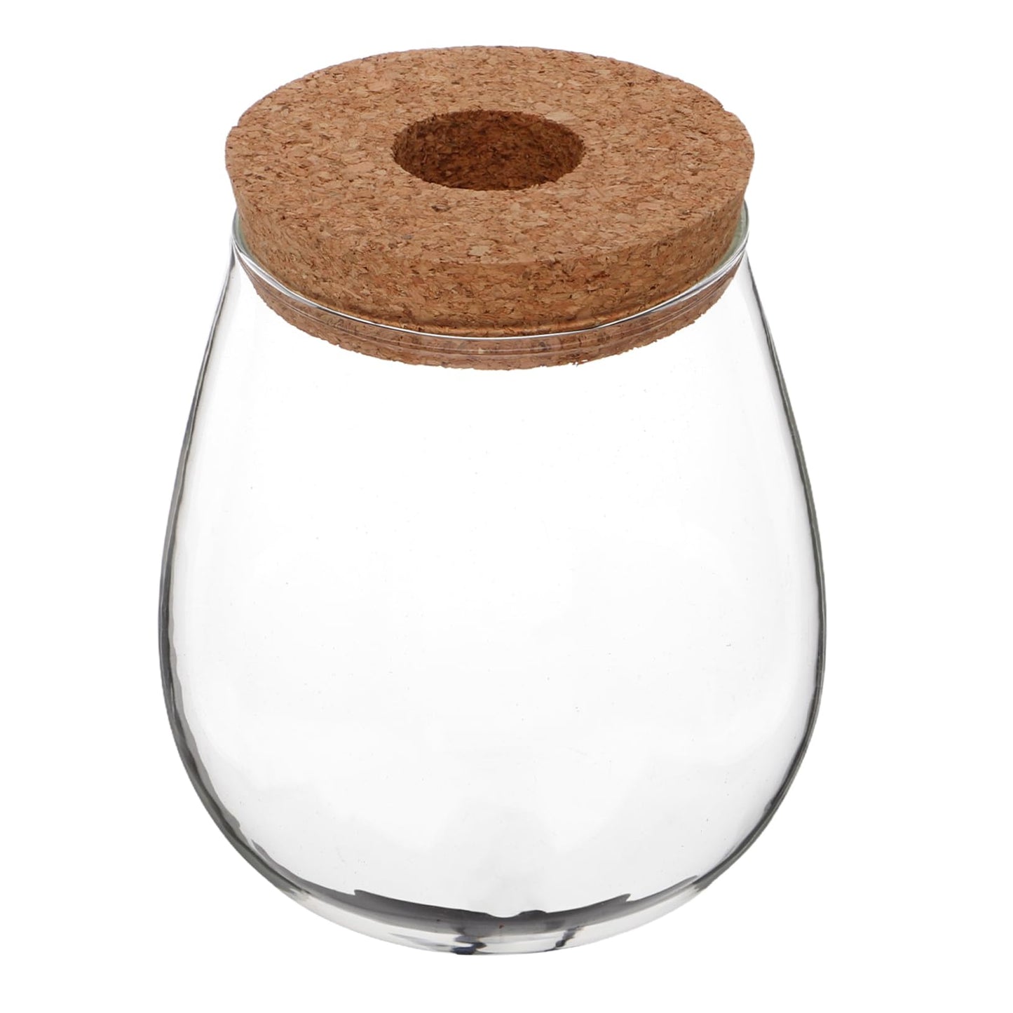 POPETPOP Modern Hydroponic Glass Vase Compact Desktop Planter for Terrariums Flower Holder for Aesthetic Home Decoration for Observing Plant Growth