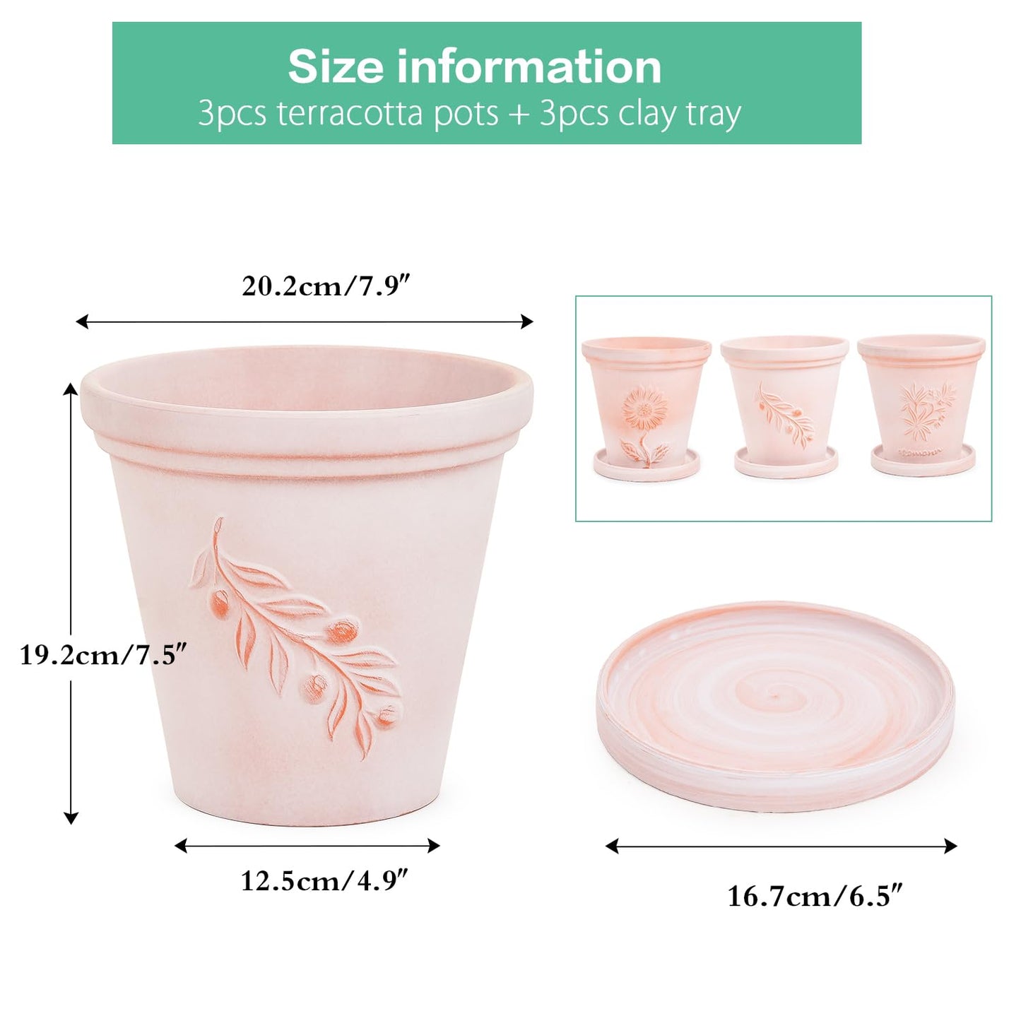 Sungmor Set of 3 Terra Cotta Pots with Saucer & Drainage Hole, 8 Inch Large & Deep Clay Pots, Unique Embossed & Pretty Color Pottery Planters for Plants Orchid Cactus Succulent