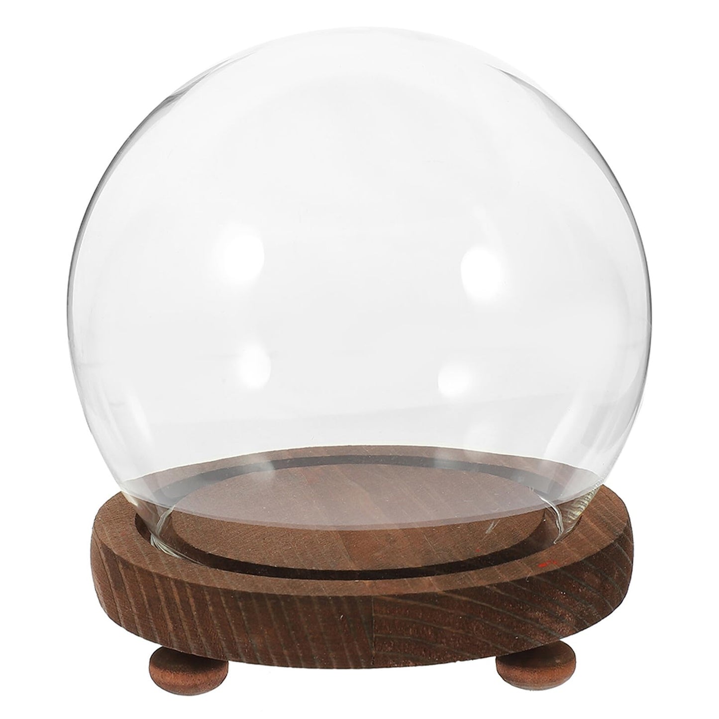 FESTFENDS Glass Cloche Dome Wooden Base Display Case for Preserved Flower and Succulent Craft Decoration