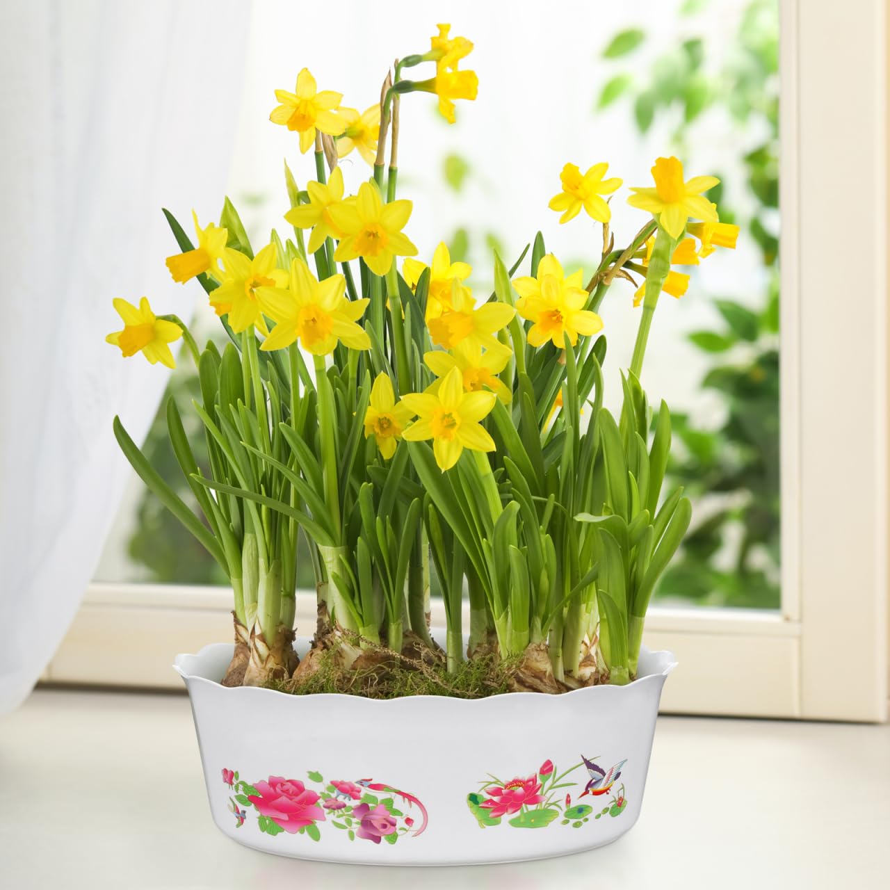 HANABASS 4pcs Lotus Flower Pot, Hydroponic Planter Water Lily Narcissus Planting Bowls Plastic Fish Bowl Shallow Flower Pot Daffodil Planter Succulent Holder Container