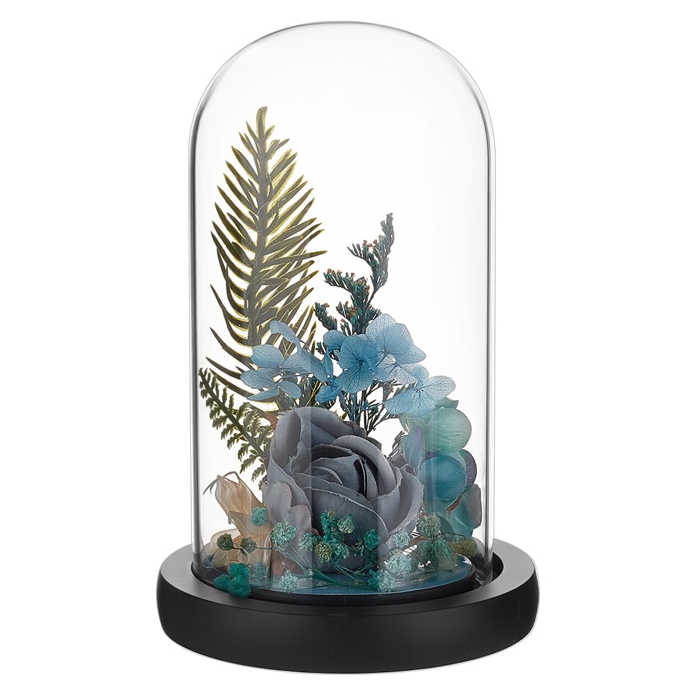 BENECREAT Glass Cloche Dome with Wood Base, 6.18x2.99inch Arch Display Dome for Plants and Collectibles, Complete Set Glass Bell Jar with Solid Wood Stand for Home Decor, Black