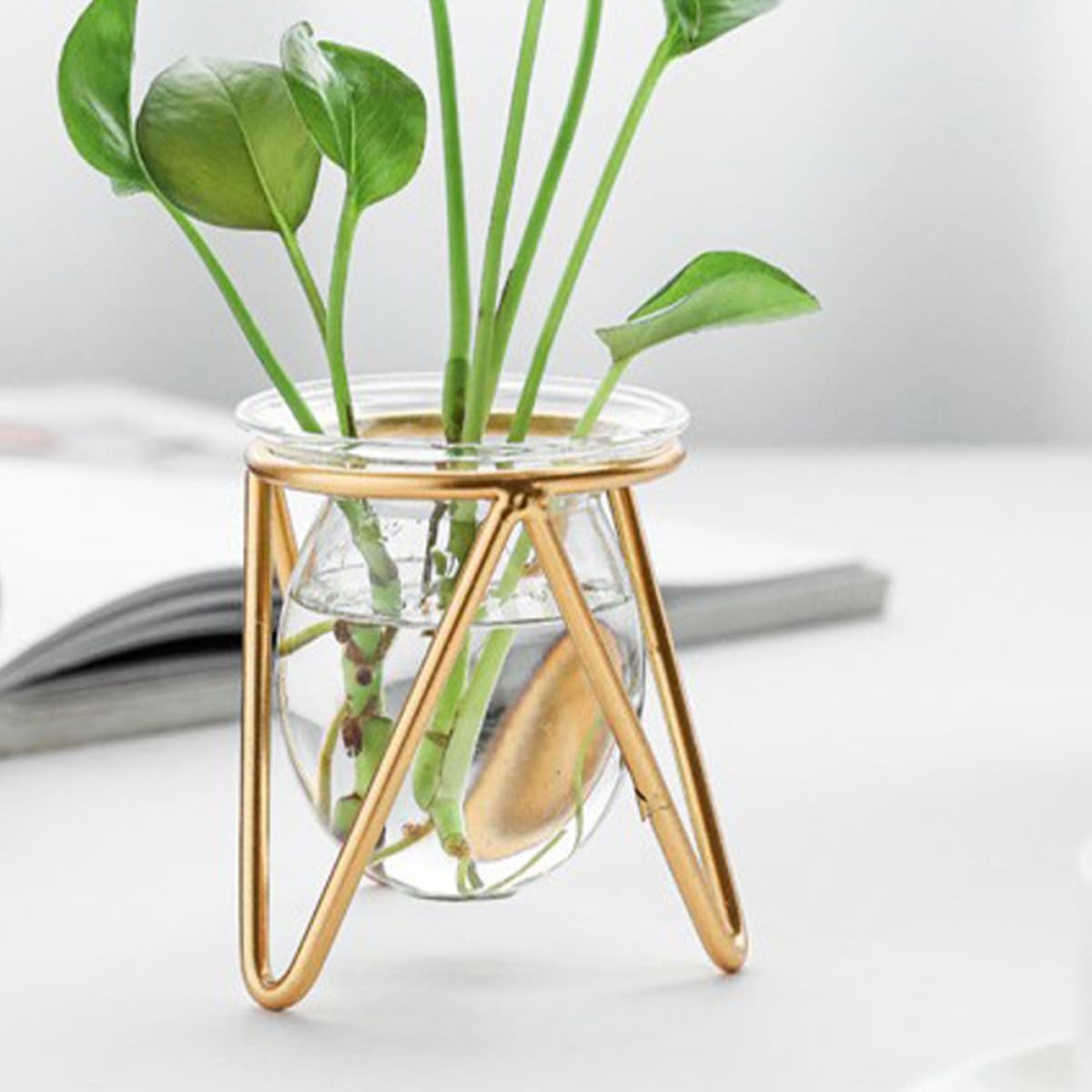 Unomor Glass Hydroponic Plant Vase with Gold Metal Stand Small Tabletop Flowerpot for Indoor Air Plants and Terrarium Décor for Home and Wedding