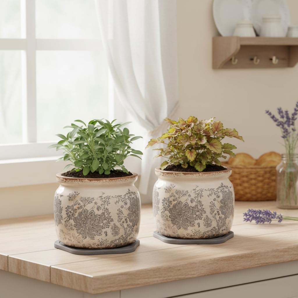 Xiaan Jiaju Plant Trays for Pots, 2 Pack 8" Hexagon Water Absorbent Stone Tray, Diatomaceous Earth Flower Pot Saucers, Drip Trays for Indoors, Keeps Counter and Floors Dry & Clean, Dark Gray
