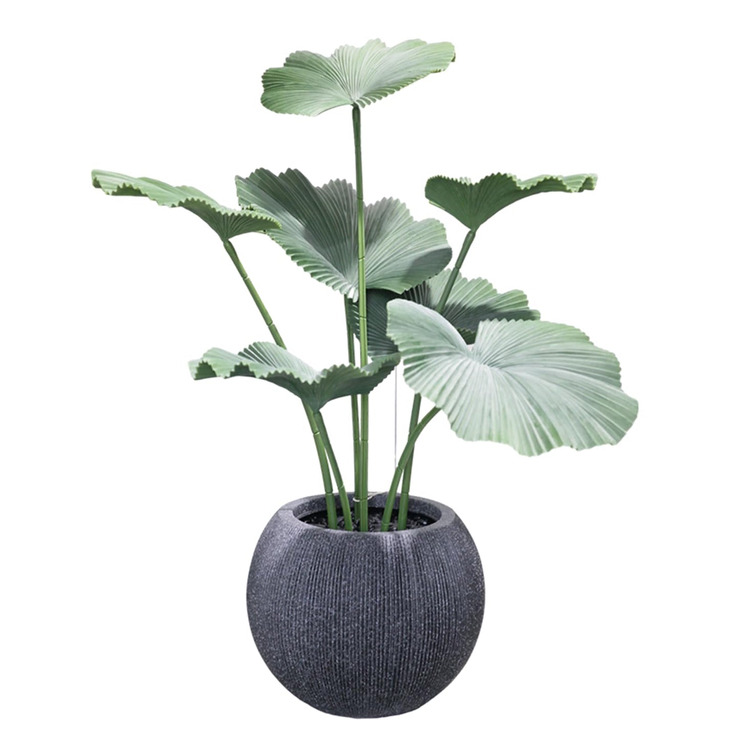 14.5 Inch Dia Plastic Round Black Planters for Outdoor Plants, Plant Pot with Drainage Holes and Plug for Home Patio Garden, Large Flower Pot for Indoor and Outdoor Plants, 11.8 H (8.9" Pot Opening)