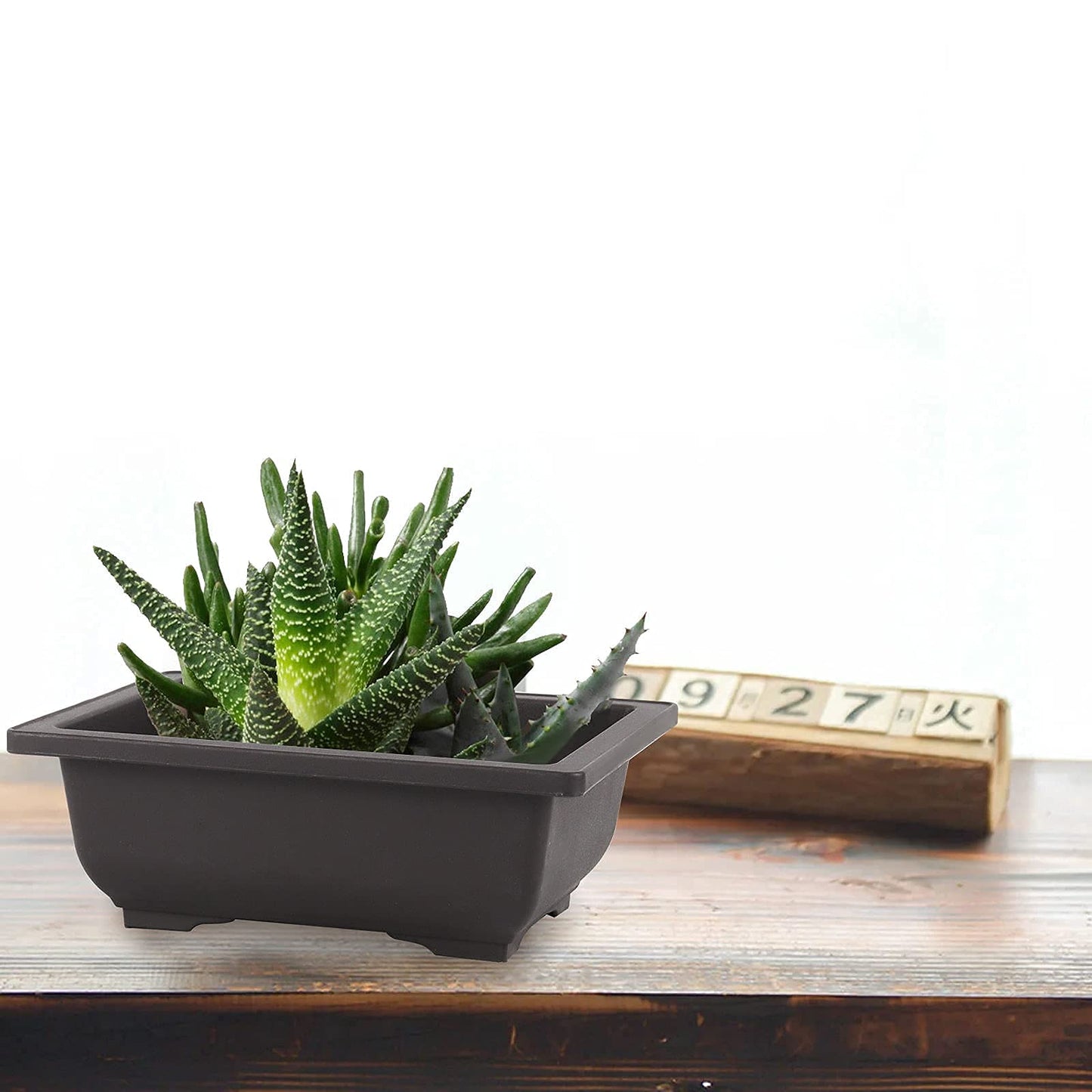 SEUNMUK 30 PCS 6.5 Inch Plastic Bonsai Training Pots, Thicken Rectangular Plastic Growing Pots, Flower Succulent Pots Container, Bonsai Plants Growing Pot for Home, Office, Balcony, Garden and Yard