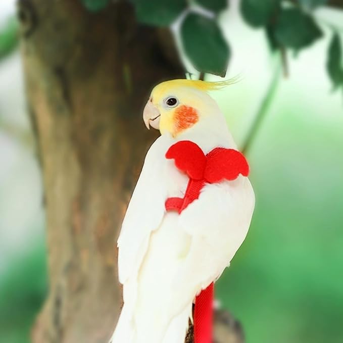 Pet Bird Harness Leash, Lightweight Bird Flying Harness Anti Bite Bird Harness Leash for Parrots Pigeons Lovebird Red