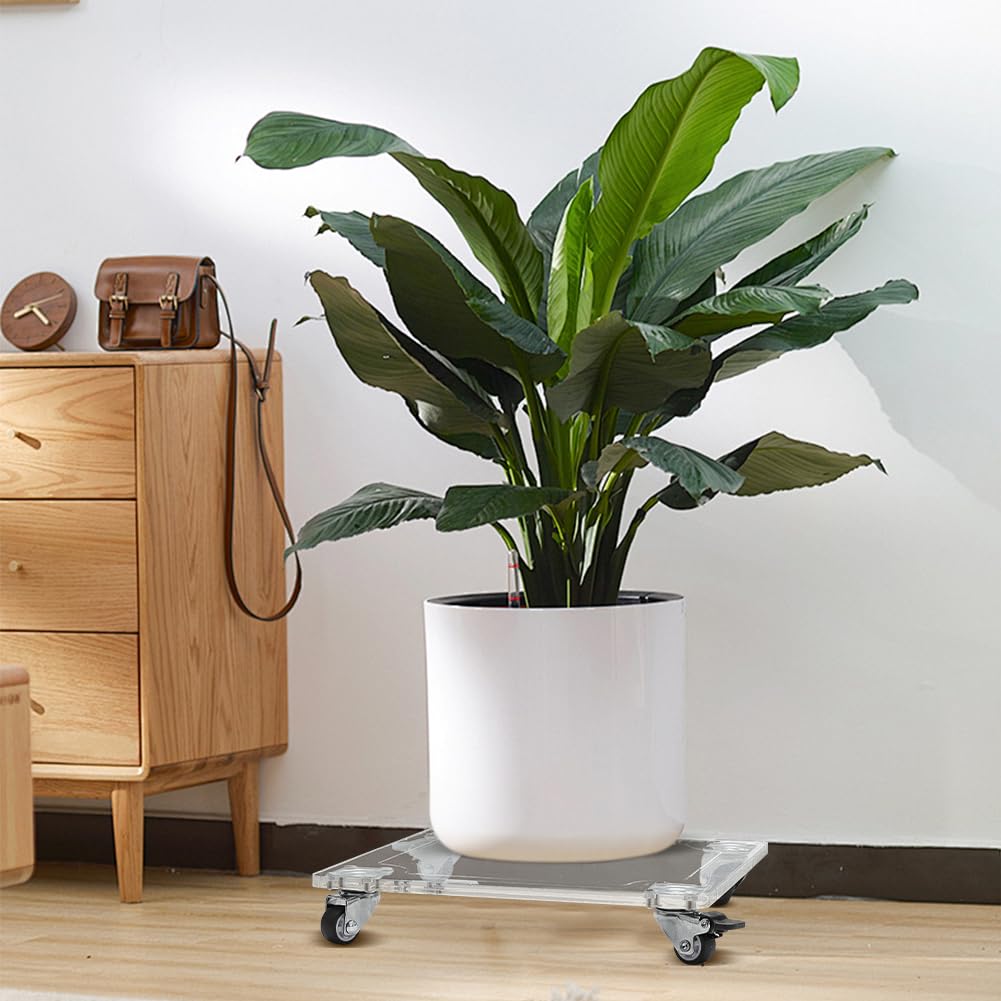 BENECREAT Acrylic Plant Caddy Heavy Duty 30Kg /66lbs Capacity, 10x10inch Square Clear Plant Pots Stands with 4 Rubber Wheels, Lockable Plant Stand for Indoor Outdoor Planter Display