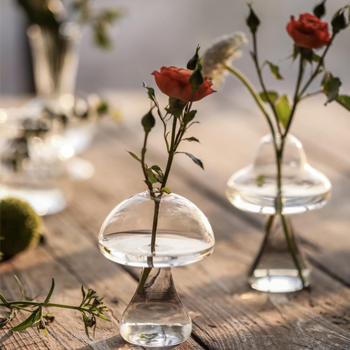 MALUGOGO 2pcs Glass Mushroom Vase Hydroponic Plant Vases Desktop Flower Pot Terrarium for Indoor Home Office Décor