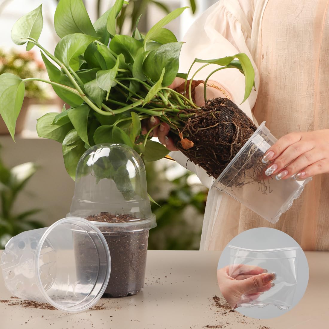 RooTrimmer Transparent Nursery Pots 4Inch with Humidity Domes for Seeds Starting, Clear Plastic Plant Pots with Drainage Holes (4Inch, 30Pcs,Clear Pots with Lids)