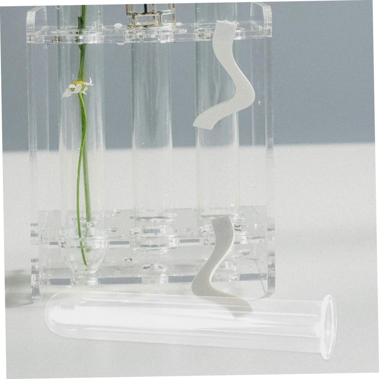 VALICLUD 6pcs Clear Glass Test Tubes for Plants Hydroponics Vase Transparent Flower Tubes Desk Terrarium Water Propagation Decorative Plant Containers