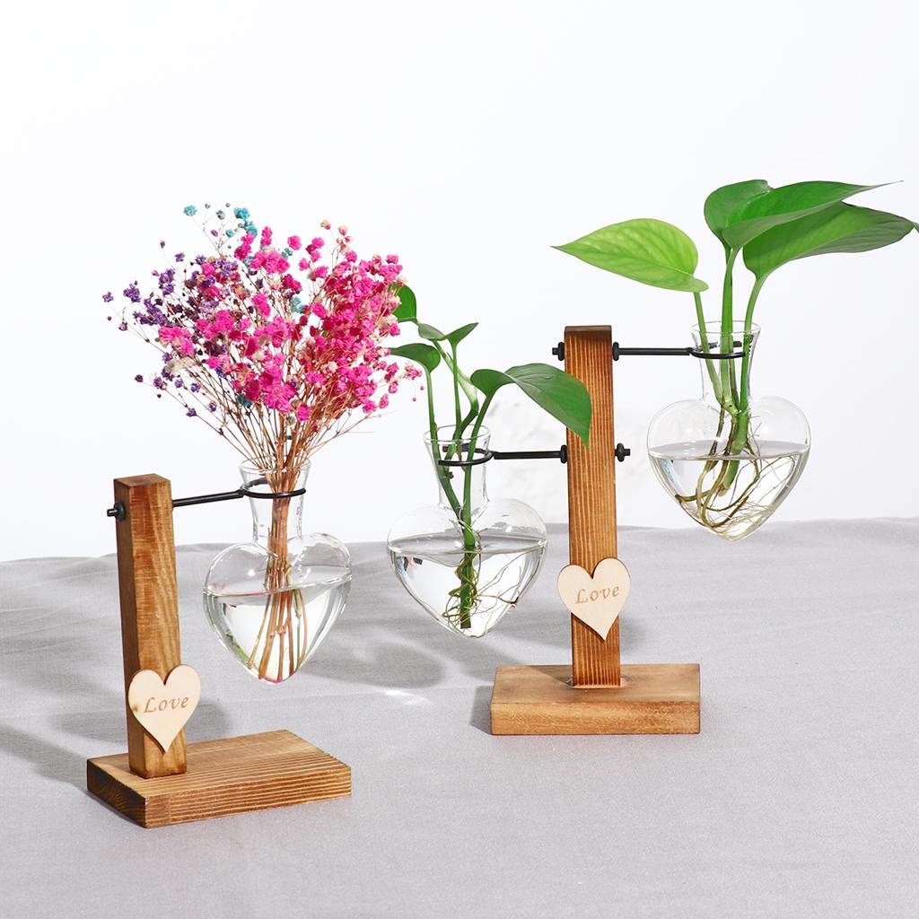 Baoblaze Desktop Plant Terrarium Glass Vase, Suitable Plants, Flowers, 15x10cm
