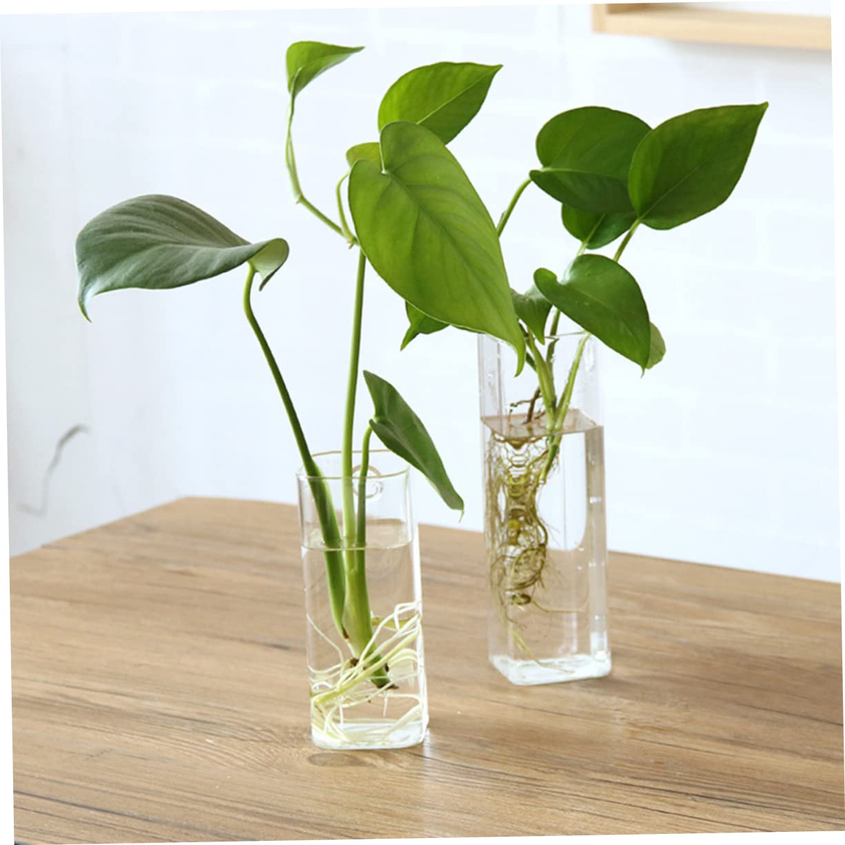 GAROZATION Hanging Glass Flower Vase for Hydroponics Creative Wall Planter Terrarium Container for Home and Plant Watering Unique Design for Bedroom and Room
