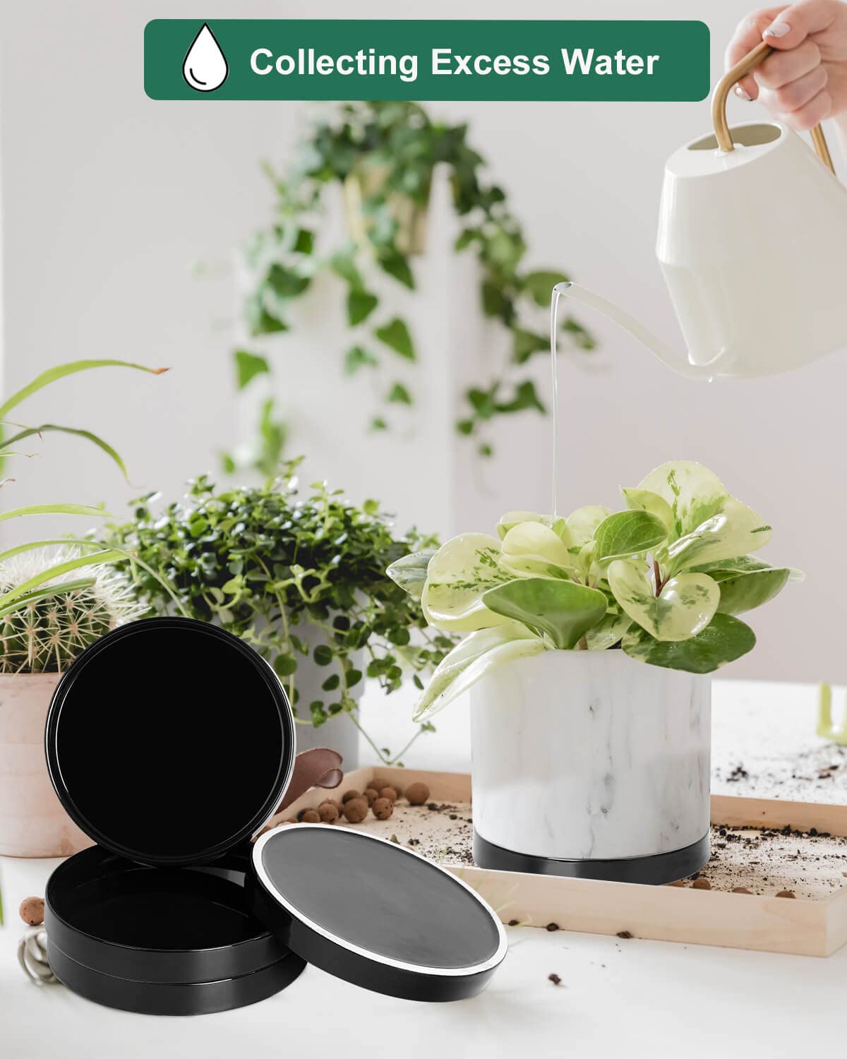 Large Ceramic Plant Saucer and Small Terracotta Pot Plant Saucer - 4 Pcs 7 Inch Black Ceramic Plant Tray and 4 pcs 8 Inch Terracotta Plant Saucer for 4,6,7 Inch Plant Pots with Drainage Hole and Gre