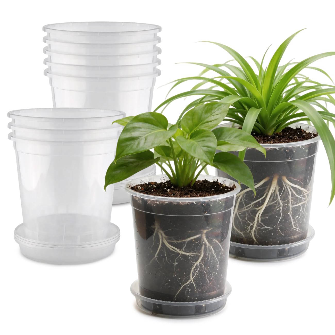 BTPLASTIK 1 Gallon Clear Nursery Pots with Saucers 10P, 6.5 Inch Round Plastic Plant Pots with Drainage Holes