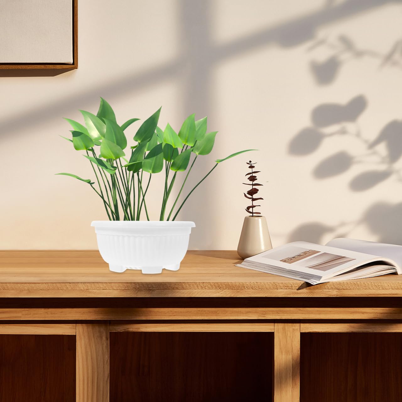 HANABASS Large Garden Bowl Planter White Shallow Plant Pot with Drainage Plastic Flowerpot for Succulents Bonsai Herbs Indoor Outdoor 8.25 Inchs