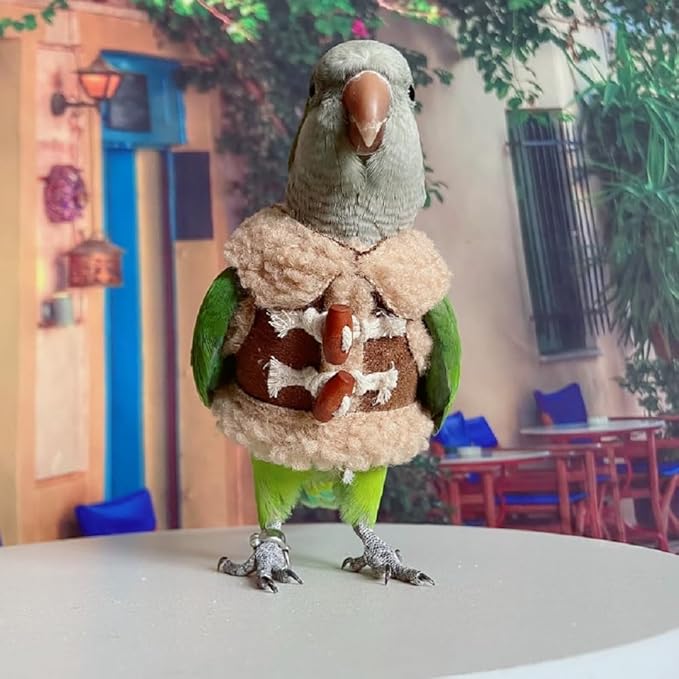 PARREN Bird diaper flight suit parrot costume pet animal costume, applicable to birds and parrots warm supplies. (M), Brown