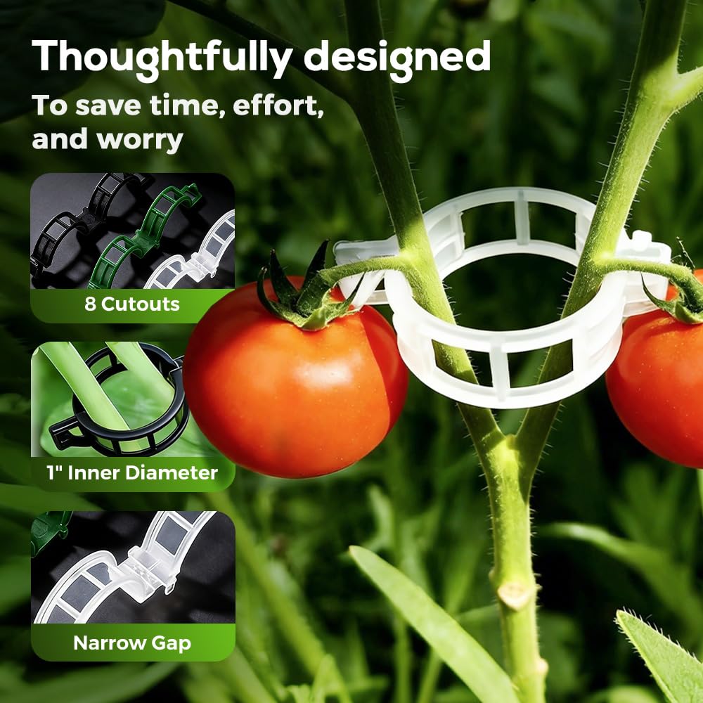DSACL Plant Support Clips, 2026 Upgraded Tomato Plant Clips for Climbing Plants, Reusable Plastic Garden Clip for Grape Cucumber Stems Outdoor Vine Fixing Clip Gardening Supplies (50, Green)