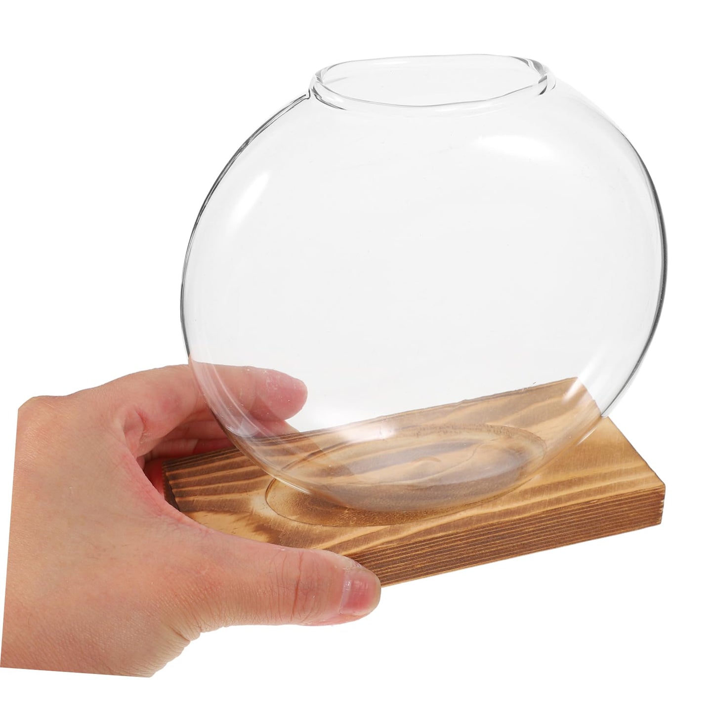 BESTonZON 1piece Modern Plant Decor Hydroponic Vase Glass Terrarium Jar Terrarium Container Creative Propagation Vase Plant Window