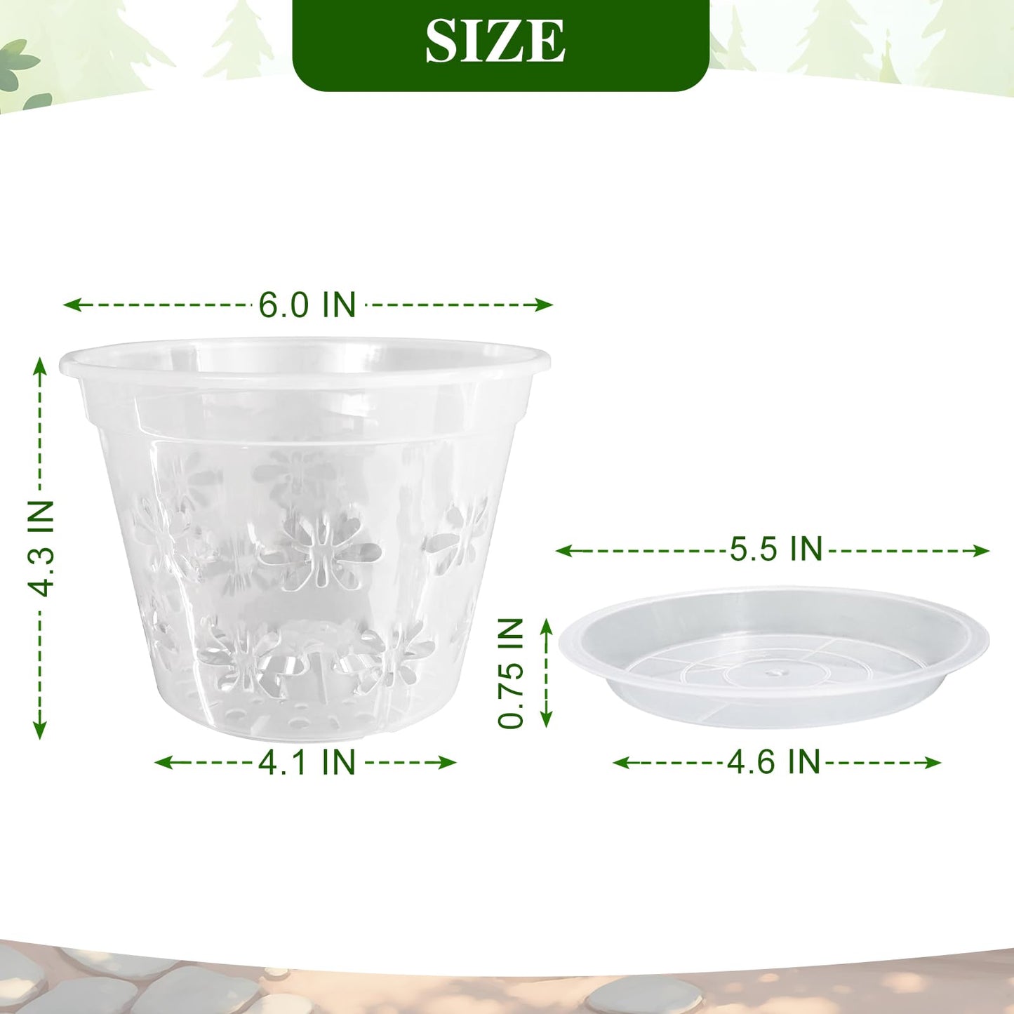 Blumiger Orchid Pot, 8 Pack 6 inch Orchid Pots with Holes & Saucers, Clear Plastic Pot for Repotting, Breathable Ventilation Planters for Phalaenopsis, Dendrobium & Oncidium Orchids