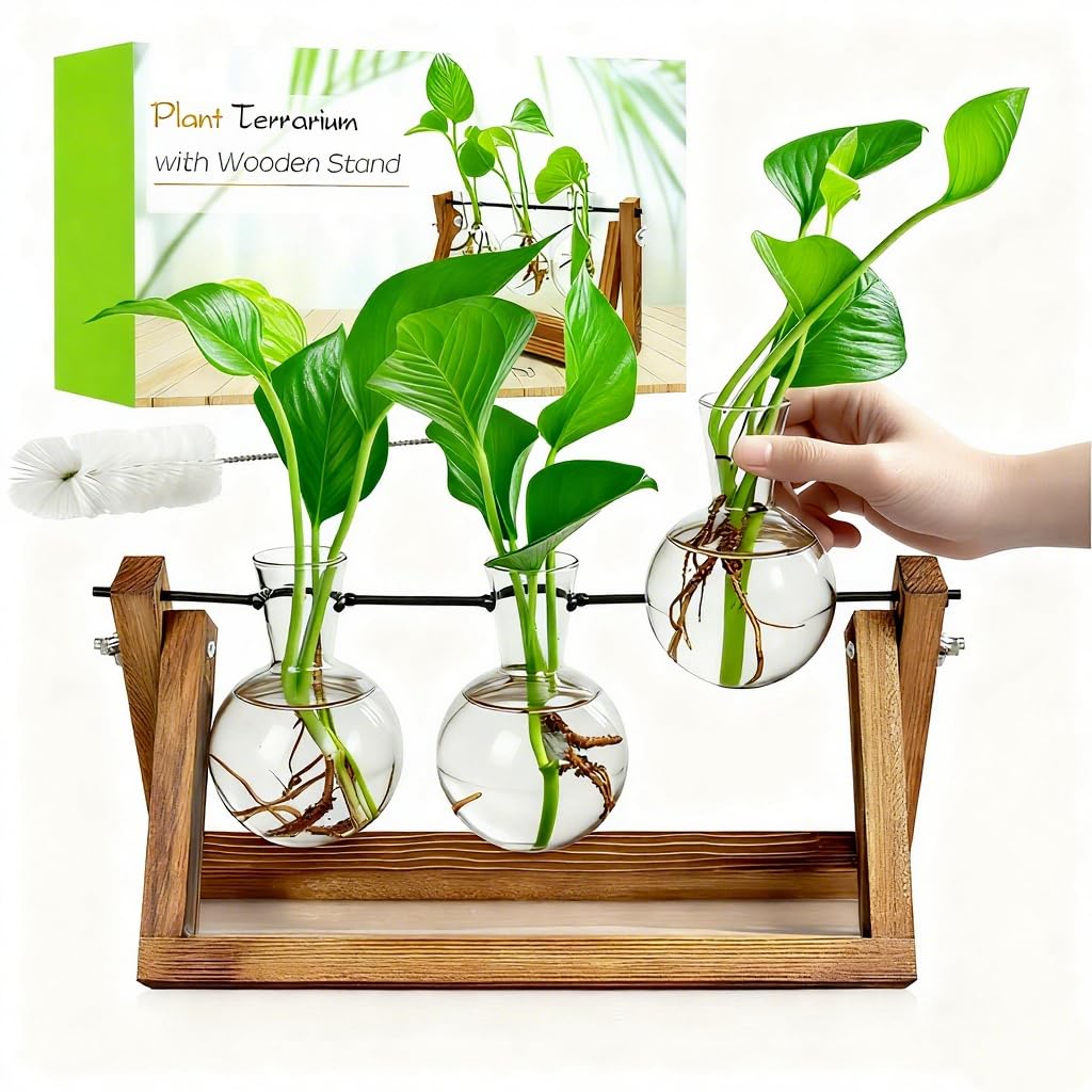 Renmxj Plant Propagation Stations with Wooden Stand & 3 Glass Bulb Vases - Plant Terrarium for Indoor Plants, Home Office Desk Decor, Gardening Gifts for Women Mom, Birthday Gifts for Plants Lovers