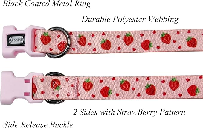 Dog Collar Leash Set, Fruit Pattern, Polyester Material, Adjustable Collar and 5ft Matching Leash, for Puppy Dogs.(XS, Strawberry)