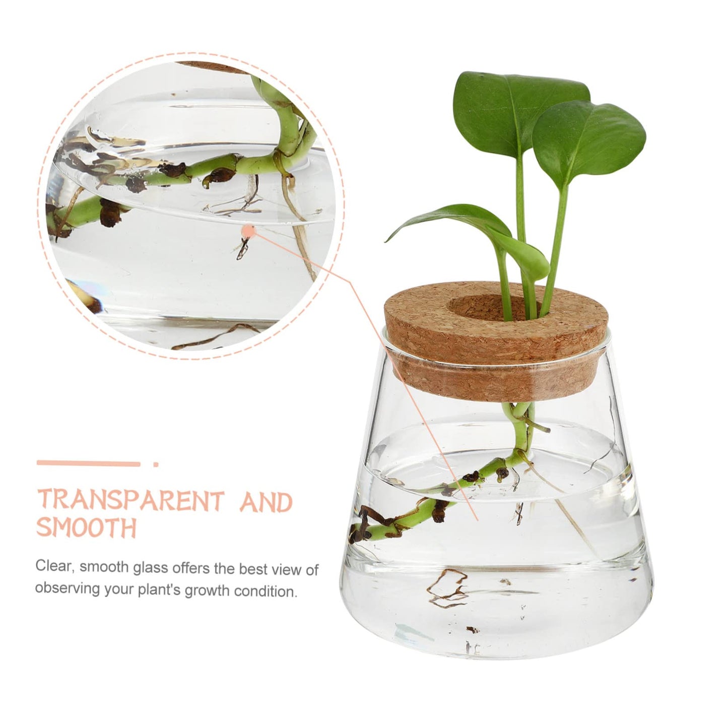 Ciieeo 2Pcs Glass Desktop Planter Vase for Hydroponics Chic Terrarium for Indoor Plants Home Office Decoration for Floral Arrangements and Plant Propagation