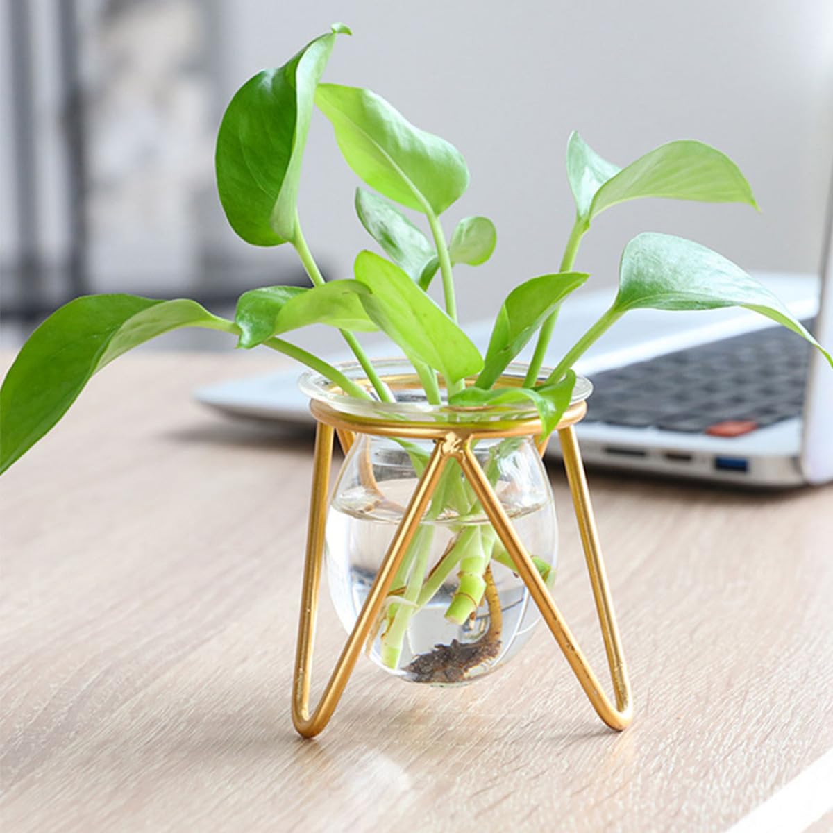 HOMSFOU Glass Vase with Metal Stand, Succulent Propagation Terrarium Planter Bulb, Desktop Air Plant Container for Indoor Water Plants and Greenery Décor