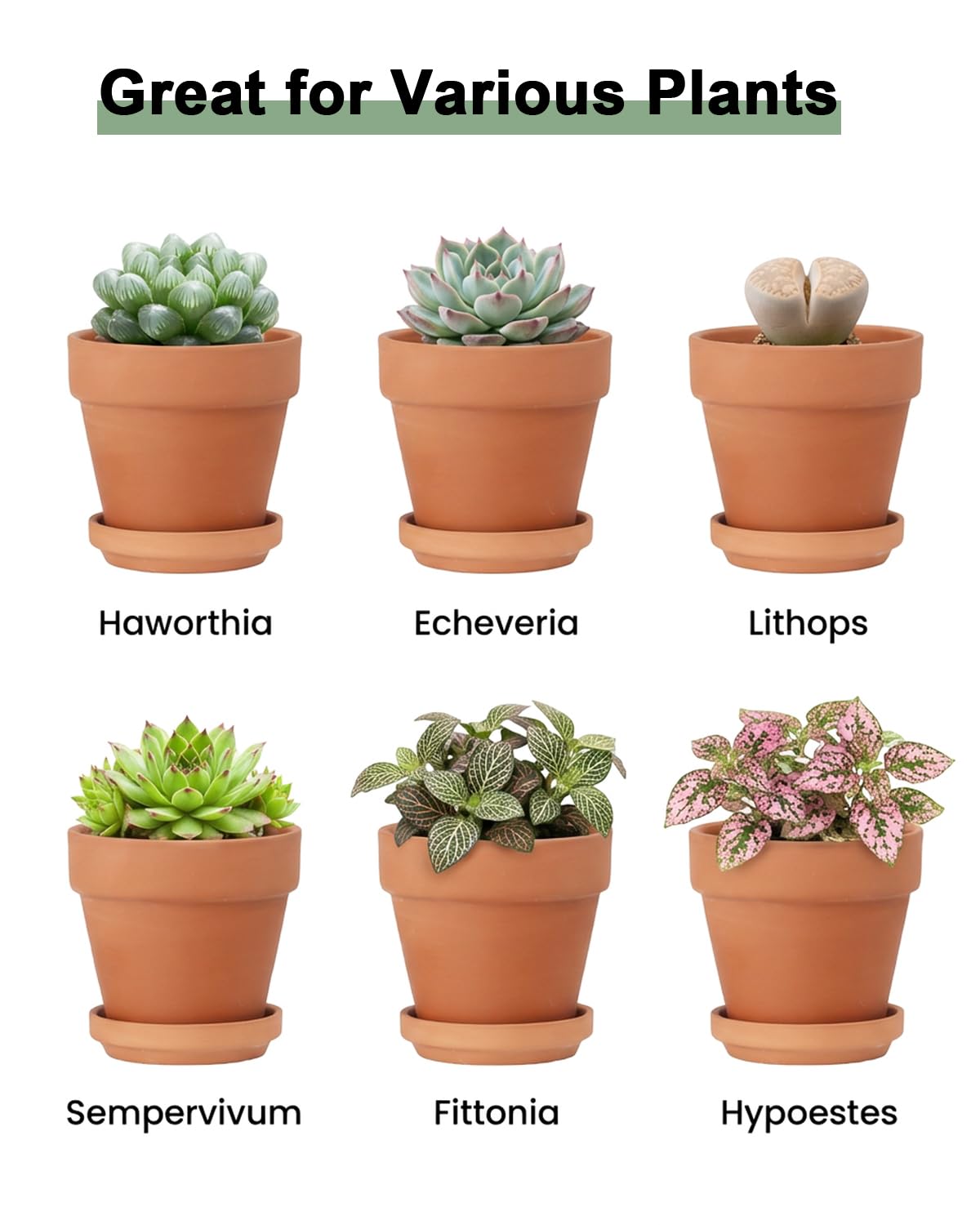 Riseuvo 4 Inch Terracotta Pots with Saucer – 6 Pack Small Clay Flower Pots with Drainage Hole for Succulents, Herbs, Indoor & Outdoor Plants, Wedding Favors