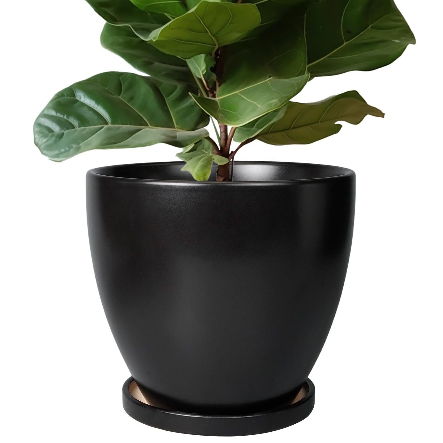 EPFamily Ceramic Planter - 10 Inch Plant Pot with Drainage Hole and Tray, Round Flower Pots, Planters for Indoor Plants, Modern Room Garden Patio Bathroom Living Room Porch Home Decor, Black