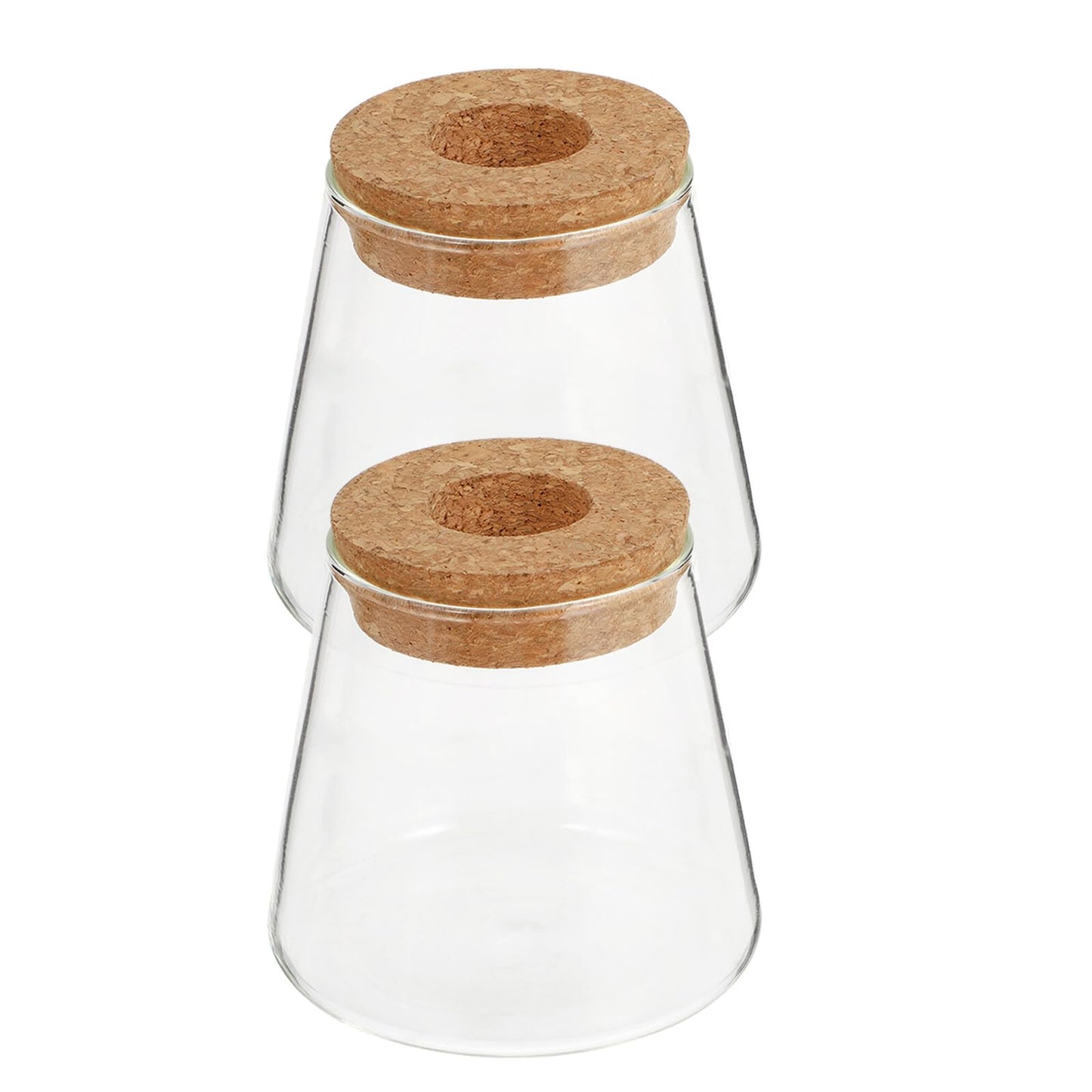 BESPORTBLE Glass Hydroponic Planter Vase 2pcs, 6.5cm Mouth Diameter Glass Plant Pots for Indoor Garden Decoration and Desktop Plant Propagation, Home Office Terrarium Environment