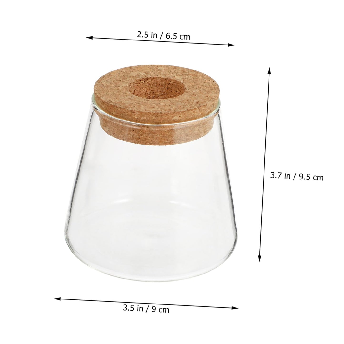 INOOMP 2Pcs Hydroponics Glass Vase for Plants Clear Smooth Terrarium Planter Home Decoration for Office and Events