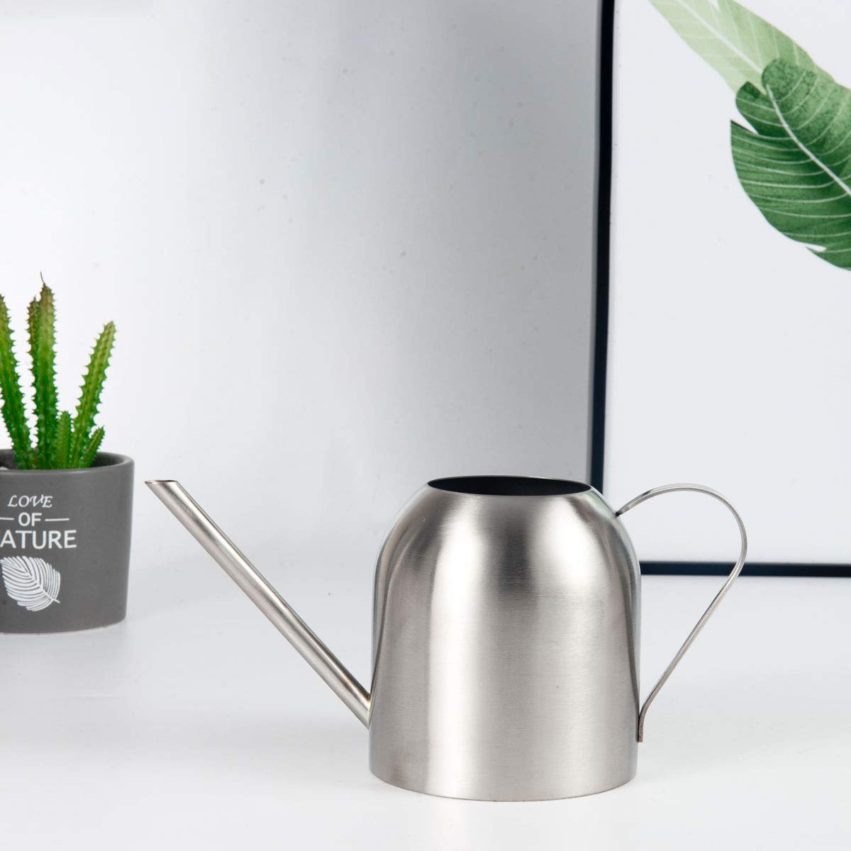 Fasmov Stainless Steel Watering Can, Small Modern Style Watering Pot, 15oz/450ml Watering Can with Long Spout to Prevent Spillage, Perfect Plant Watering Can for Outdoor and Indoor Plants (Silver)