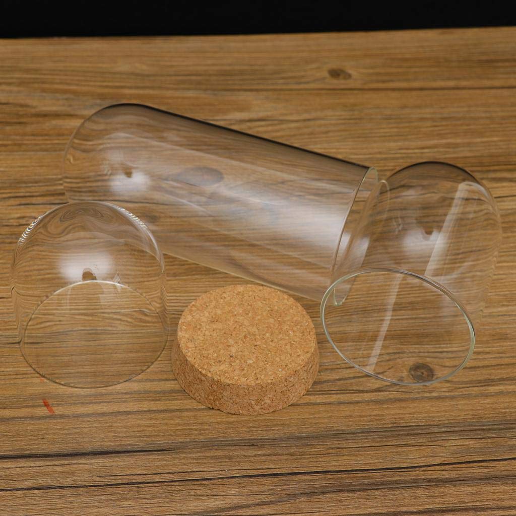 FLAMEER 10Pieces 8x12cm Clear Glass Dome Cover Cloche Bell Jar Succulent Terrariums w/Wooden Cork Base Home Study Room Decor