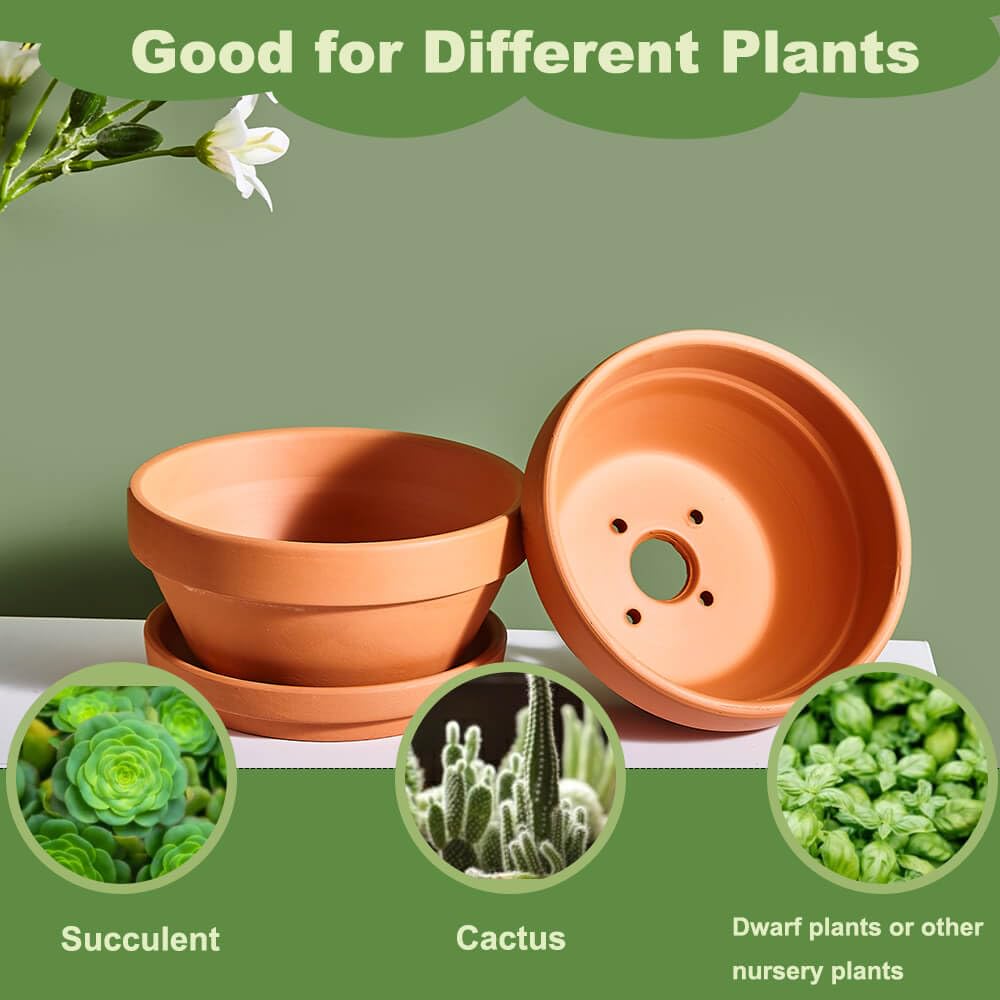 5 Inch Shallow Terracotta Pot for Succulent - 6 Pcs Small Shallow Plant Pots with Drainage Hole and Saucer Mesh Pad, Clay Plant Pottery Pots for Cactus Succulent and Other Indoor Outdoor Plants