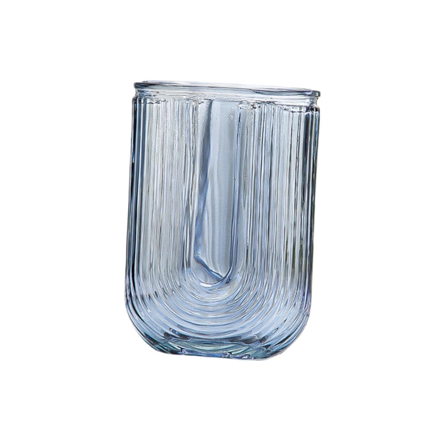 Duiaynke Glass Vase, Glass Ornament,Plant Vases Modern Terrarium Holder Display, for Dining Table Office Desktop Home Decor
