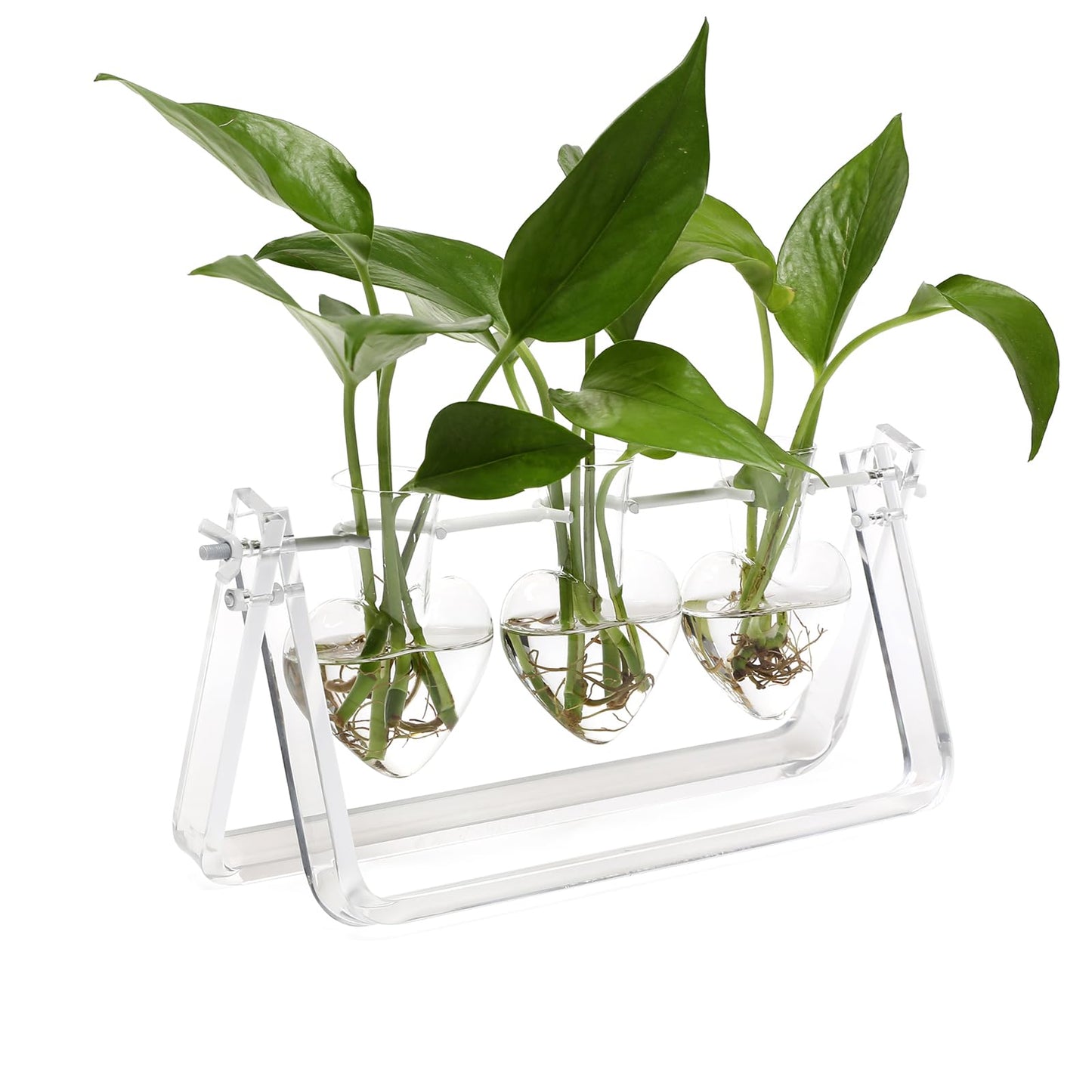 CYZglass Clear Plant Terrarium Propagation Stations with Acrylic Stand Birthday Gifts for Women Office Home Decor